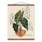 Boho Plant Still Life 16" x 20" Teak Hanging Canvas